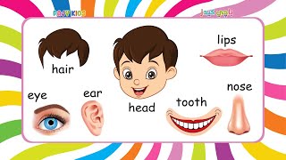 Learn Face Parts Name for Kids | Fun English Lesson for Preschool & Kindergarten
