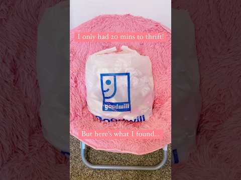 🎀Mini Thrift Haul🎀