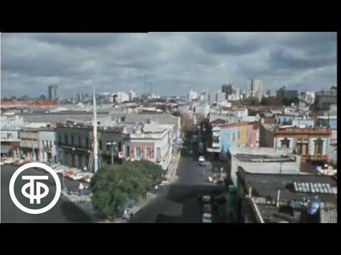 Видео: BAFICI: 12-ият международен фестивал за независим филм в Буенос Айрес започва на 7 април - Matador Network