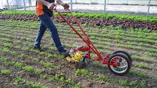 Terrateck  Double wheel hoe cultivator with finger weeder