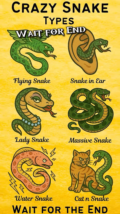 Download lagu Crazy Snakes caught on Camera | PART ??? #ytshorts #shortsvideo