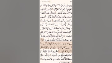 صفحة ٤٠٧ سورة الروم الشيخ ياسر الدوسري