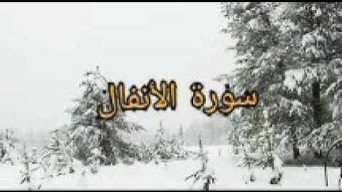 سورة الانفال صوت مميز ارح به سمعك
