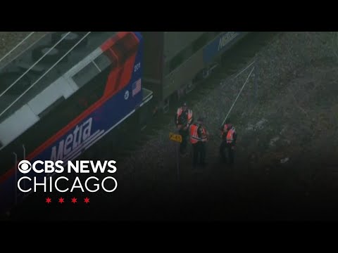 Metra BNSF trains halted after train hits, kills pedestrian