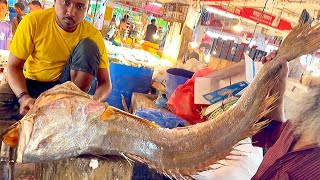 Giant Ghol Fish Cutting Skill Live In Bangladesh Fish Cutting Skills