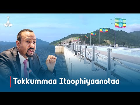 Tokkummaa Itoophiyaanotaa Etv Ebc Etv Afaan Oromoo