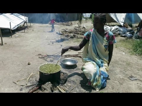 Vídeo: Aonde ir com crianças em Sudak?