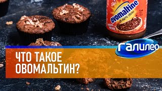 Галилео 🍪 Что Такое Овомальтин?