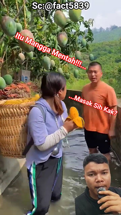 Raw Mango‼️fact5839