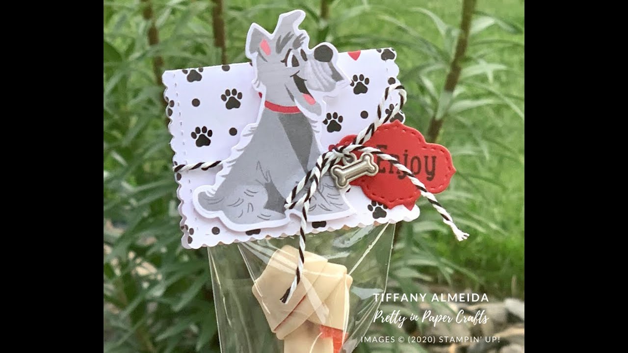 Playful Pets Dog Bone Treat Holder YouTube