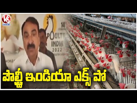 Poultry India Expo To Be Held In Hyderabad From November 23 | V6 News - V6NEWSTELUGU