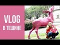 VLOG. Тешин. Гуляем всей семьей на выходных.