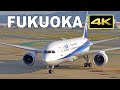 [4K] Plane Spotting at Fukuoka Airport in Japan on May 3, 2021 / 福岡空港 / Fairport