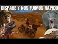 Animales Salvajes Del Desiertos De Arizona