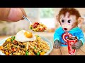 BiBon Monkey cook fried rice with ducklings in the kitchen