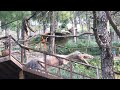 Dino park margalla hills islamabad travel life with sharjeel