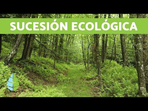 Vídeo: Què és un ecosistema clímax?