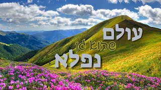 חזונו של הרבי מליובאוויטש ומפת הדרכים שהציג בעת קבלת הנשיאות