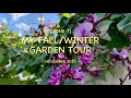 My Fall/Winter Garden (November) 秋冬季蔬菜- Quick Tour🪴