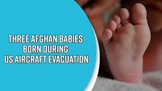 Three Afghan Babies Born During Us Aircraft Evacuation; No American Citizenship For Newborns
