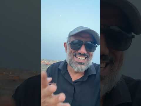 علاج الربية الأرضة النمل الأبيض