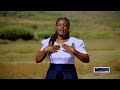 Githithi by wambui suzanfilmed by trend media skiza 6388540 