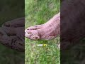 100 Miles No Sock Change рџ рџЏѓ 100 Miles No Sock Change рџ рџЏѓ
