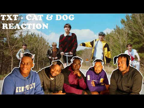 TXT (투모로우바이투게더) 'Cat & Dog' Official MV | REACTION