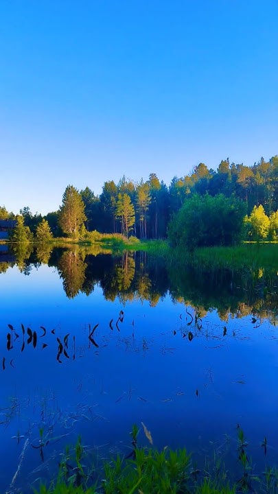 дача + рыбалка = кайф #fishing #нарыбалке #рыбалка #gofishing #дача # ...
