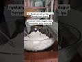 Masak aja kali ya, biar uang belanja lebih hemat #daily #cooking #dapur