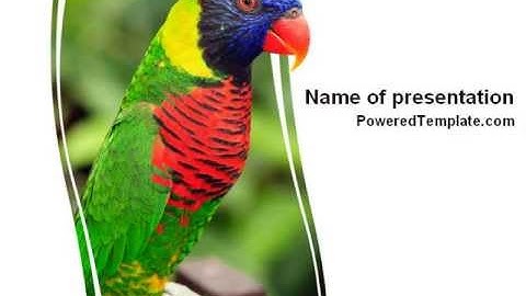 Australian Parrot PowerPoint Template by PoweredTemplate.com
