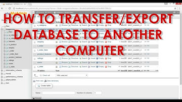 HOW TO TRANSFER/BACKUP YOUR WEBSITE DATABASE IN XAMPP