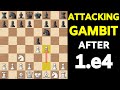 Win With 1.e4, Aggressive Chess Opening | Vienna Gambit