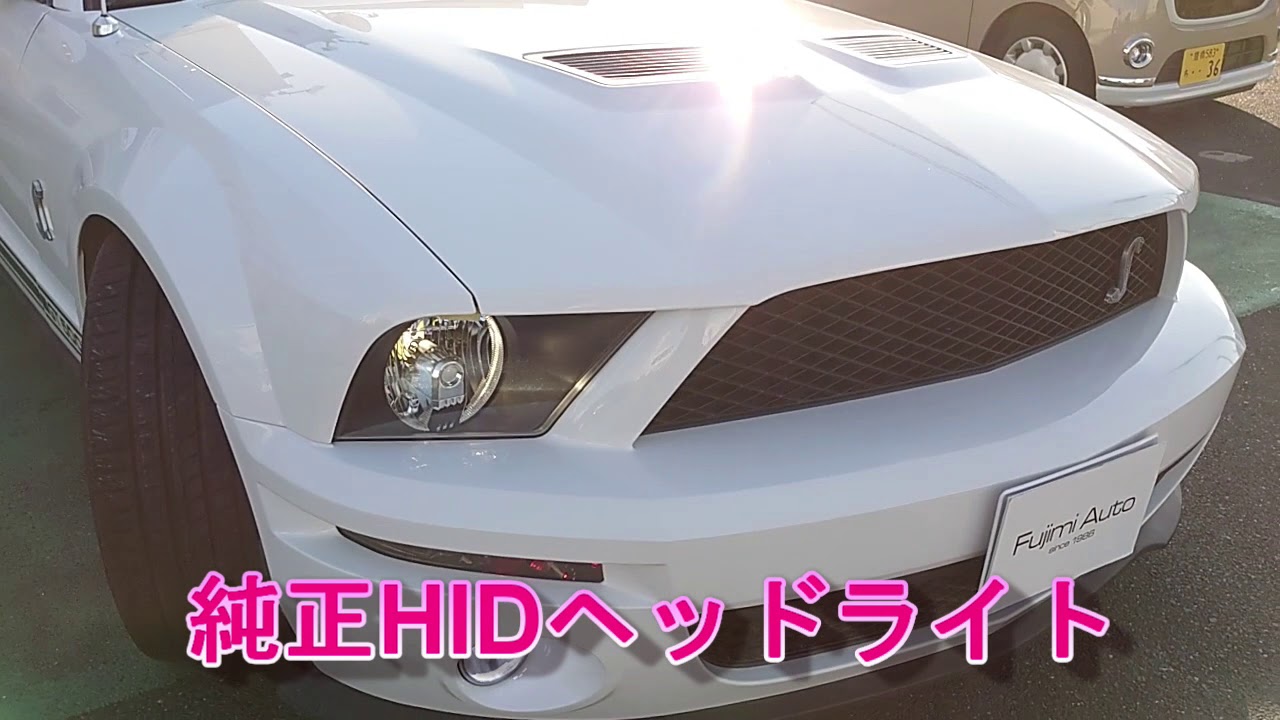 愛知県 シェルビー Gt500 マスタング コブラ フォードレーシング フジミオート Youtube