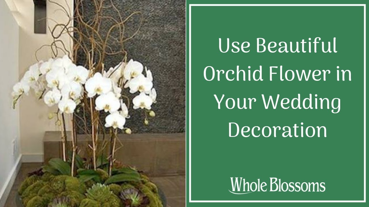 Use Beautiful Orchid Flower in Your Wedding Decoration