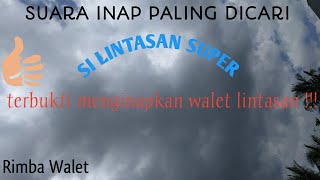 Suara inap walet Lintasan Super