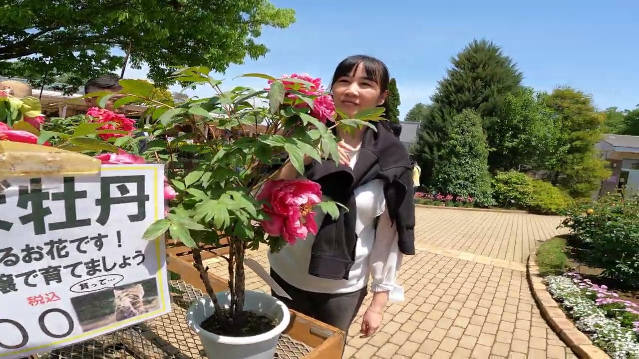 Ashikaga Flower Park Walk 04 | Japan 4K ASMR | あしかがフラワーパーク散歩 | Nam Mai TV