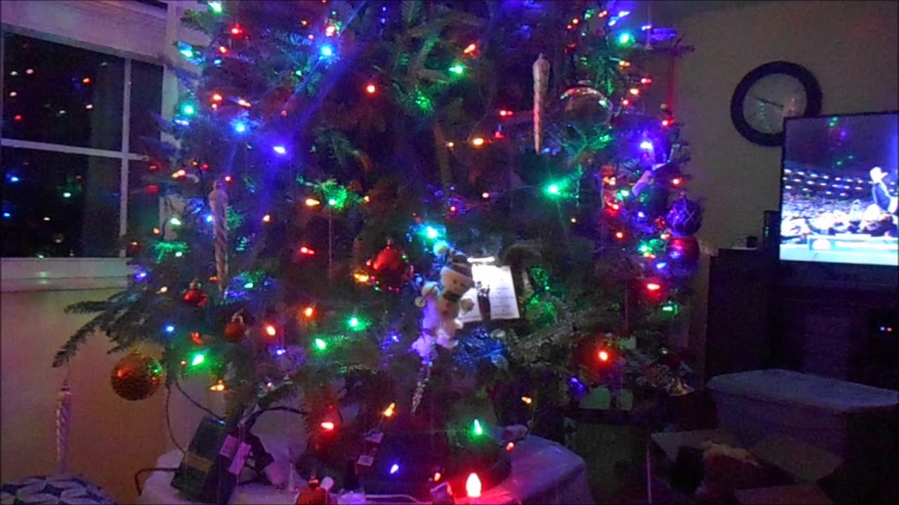 Talking Christmas Tree Cape Coral Fl 2017 This is cool Brock Bush is