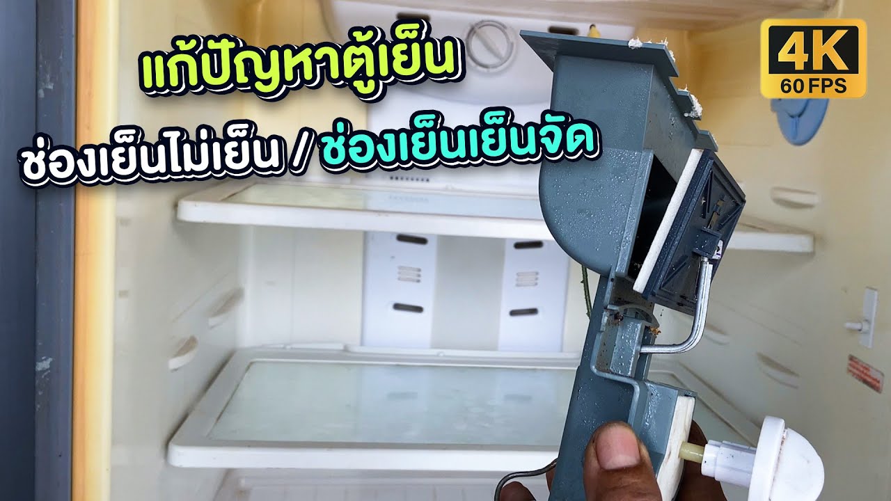 ตู้เย็นโนฟรอส ซัมซุง โตชิบ้า ด้านล่างเย็นจัด แก้ไขอย่างไรอะไรเสียมาดูกัน