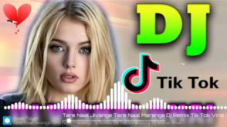 Tere Naal Jivange Tere Naal Marenge  Dj Remix Tik Tok Viral Song Dj remix 2020