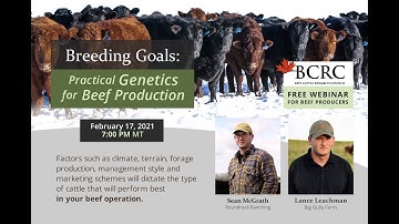 Breeding Goals: Practical Genetics for Beef Production