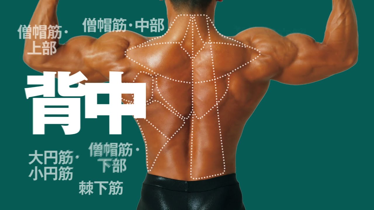 上智大学筋肉図鑑 上智大学筋肉図鑑」をゲットした編集部が、上智のマッチョ男子を
