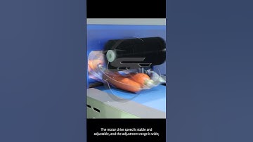 Carrot flow wrap packing machine#packingmachine