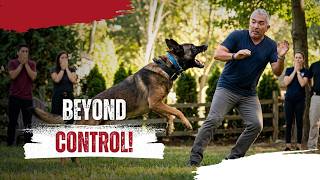 When Powerful Breeds Lose Control | Cesar Millan’s Most Dangerous Dogs | Ep. 2