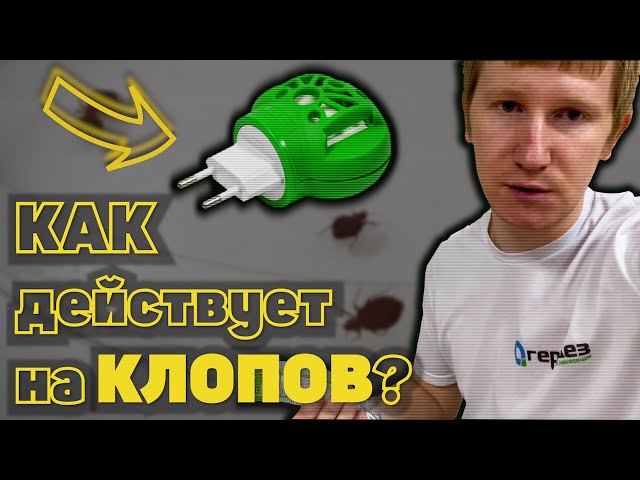 Убивает ли ФУМИГАТОР клопов?