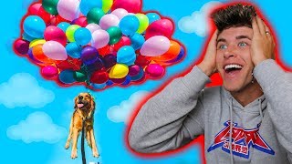 MAKING MY DOG FLY! ATTACHING 500+ BALLOONS TO HIM!! *AMAZING*