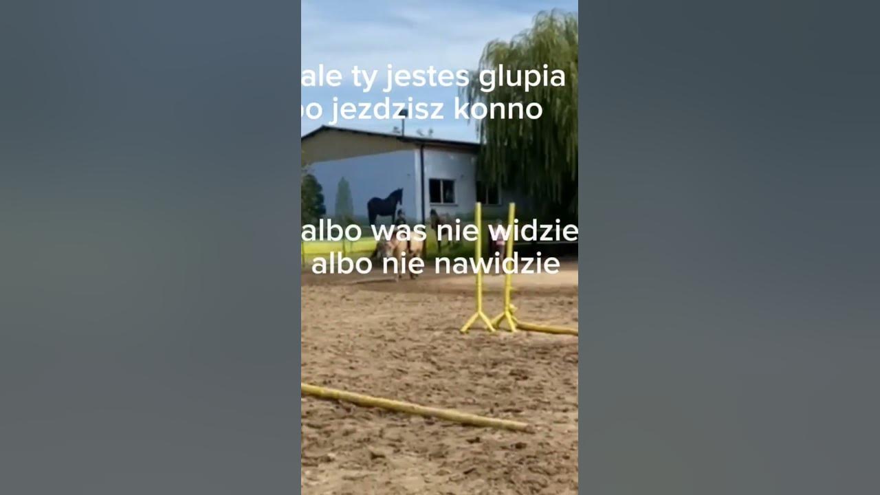 Hej Co Zrobilas Taka Glupia Bylas przycielo mi sie ale bylo "X: jestes glupia bo jezdzisz konno" - YouTube