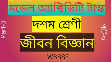 class 10 model Activity Task part-3 Life science / Wbbse/ জীবন বিজ্ঞান