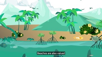 KIwa Initiative - Coastal and NbS in the Pacific