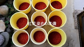 紅花染め 3 紅花準備 Youtube